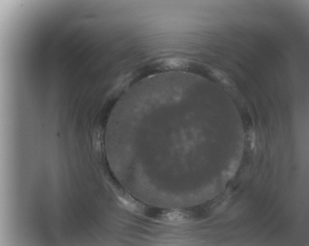 X0000062830423200601171424