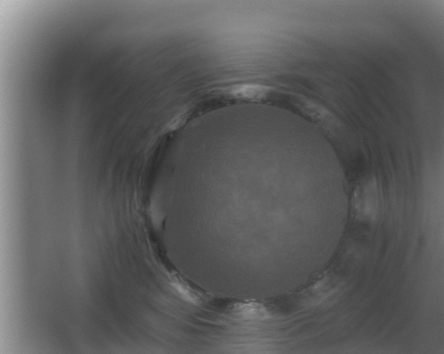 X0000062830424200601171424