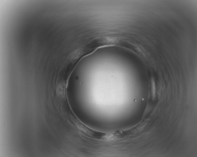 X0000062830425200601171424