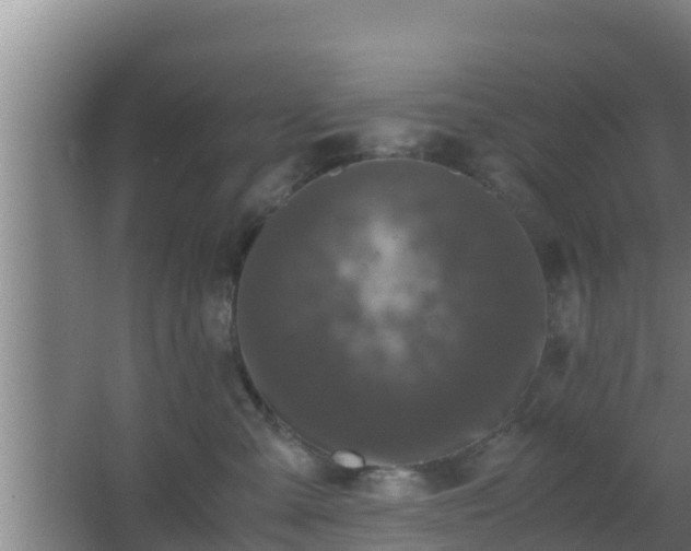 X0000062830427200601171424