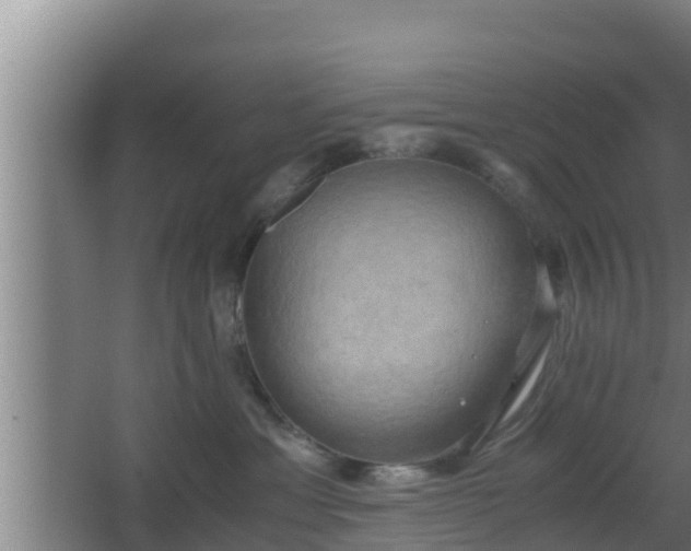 X0000062830429200601171424