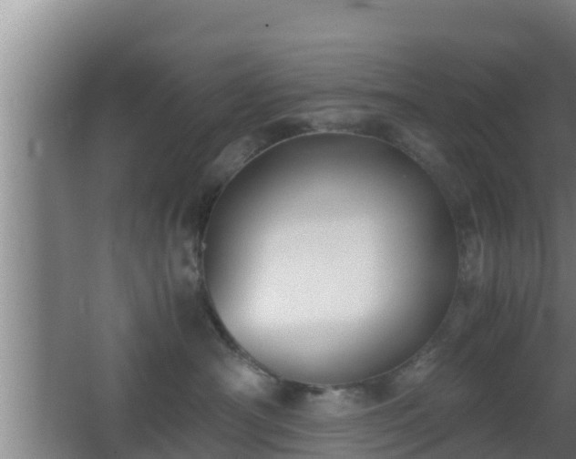 X0000062830430200601171424