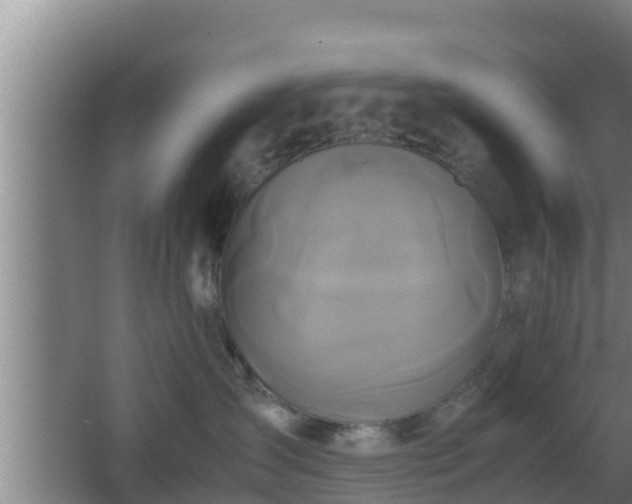 X0000062830431200601171424