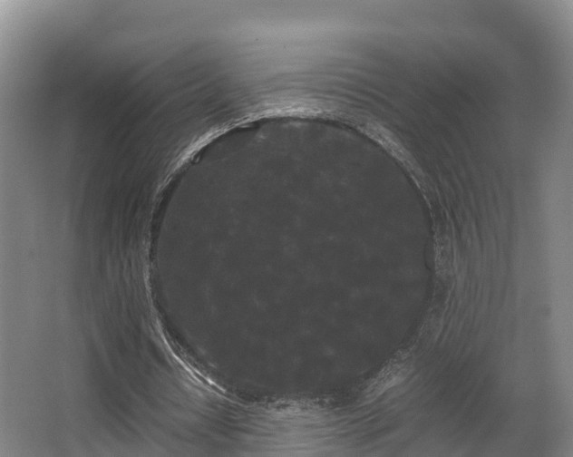 X0000062830434200601171423