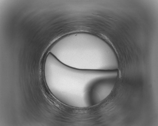 X0000062830435200601171423