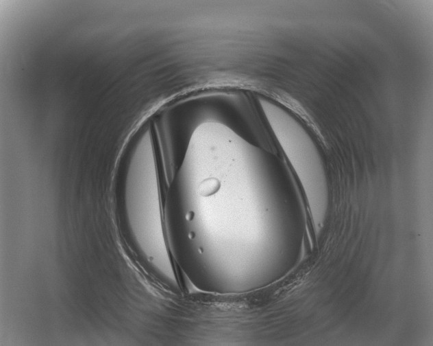 X0000062830436200601171423