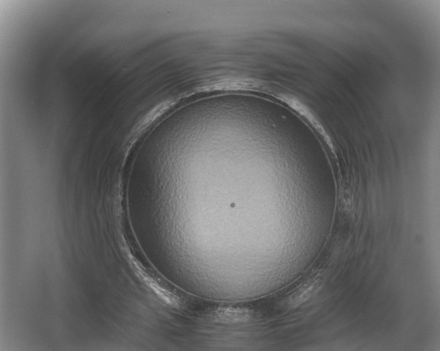 X0000062830437200601171423