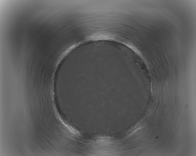 X0000062830438200601171423