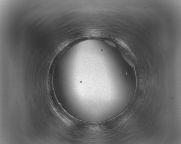 X0000062830439200601171423