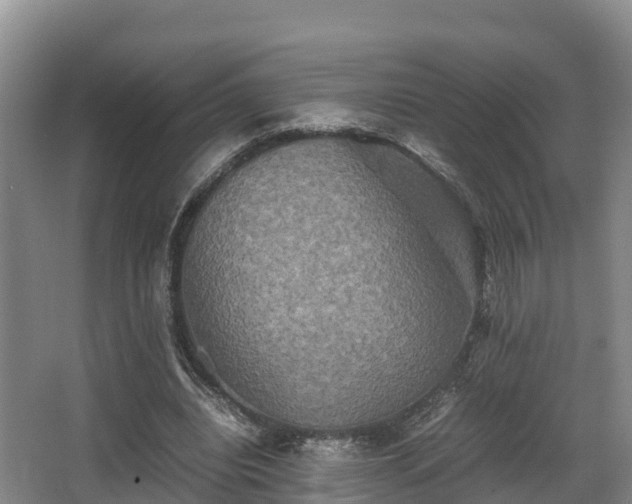 X0000062830440200601171423