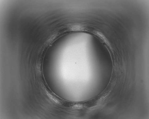 X0000062830441200601171423