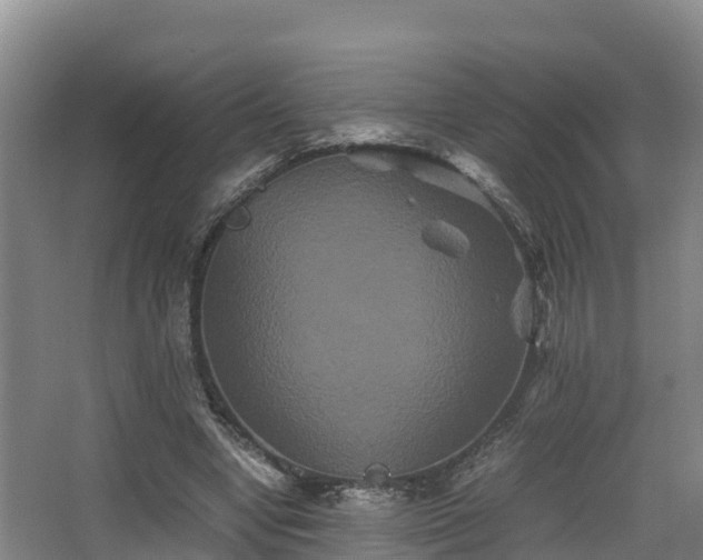 X0000062830442200601171423