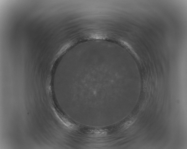 X0000062830443200601171423