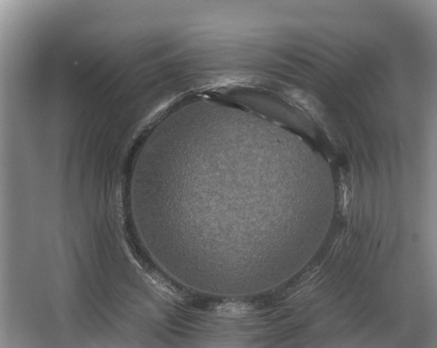 X0000062830444200601171423