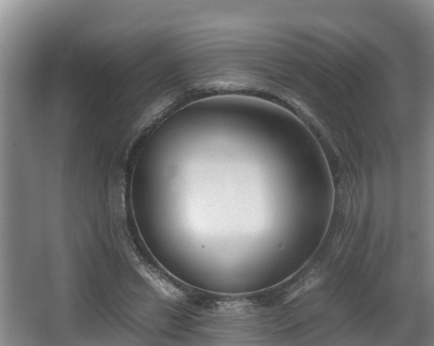 X0000062830446200601171423