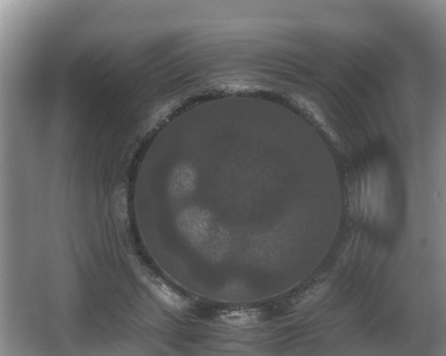 X0000062830447200601171423