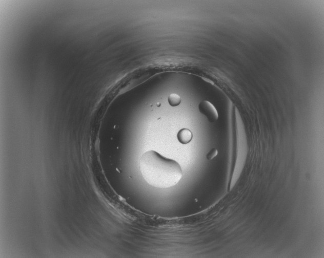 X0000062830448200601171424