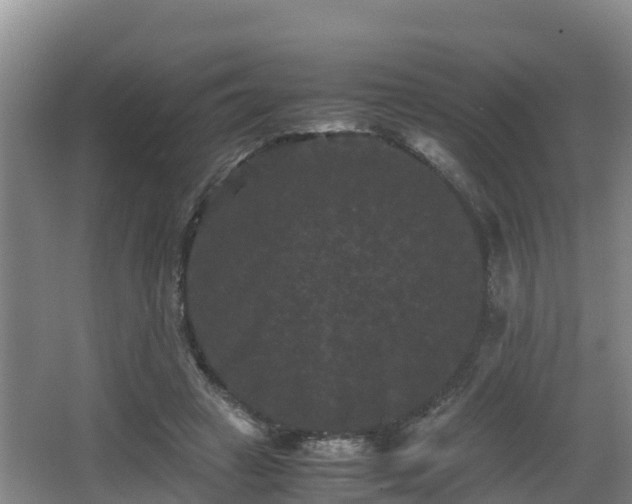 X0000062830449200601171424