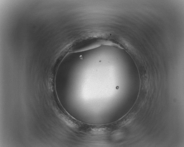 X0000062830450200601171424