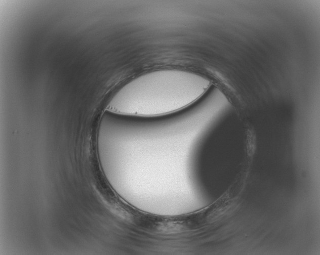 X0000062830451200601171424