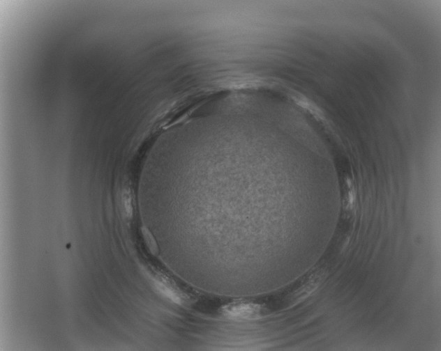 X0000062830452200601171424