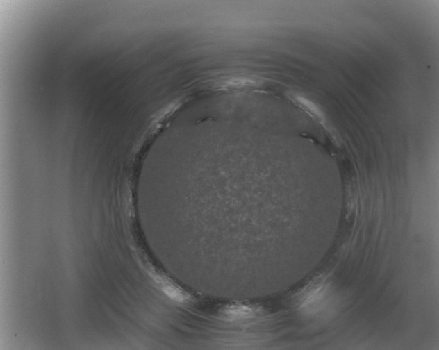 X0000062830453200601171424