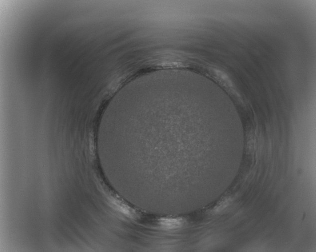 X0000062830457200601171424