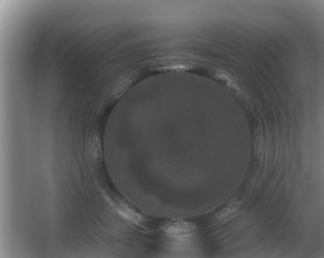 X0000062830459200601171424