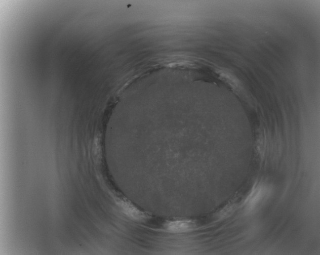 X0000062830461200601171424