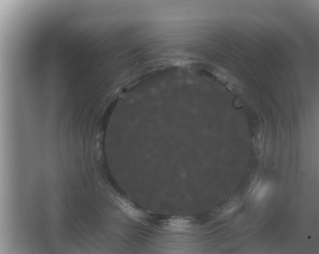 X0000062830462200601171424