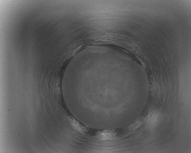 X0000062830466200601171424