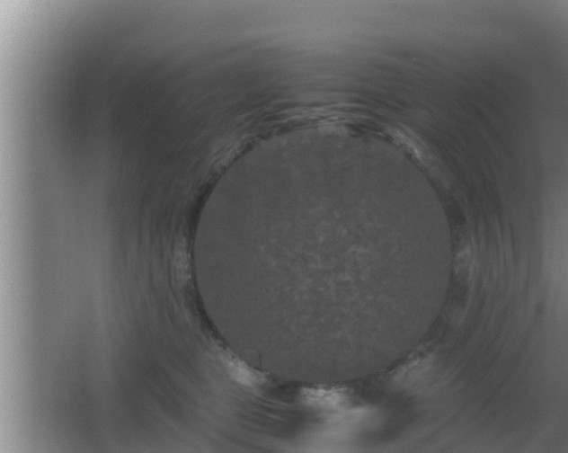 X0000062830469200601171424