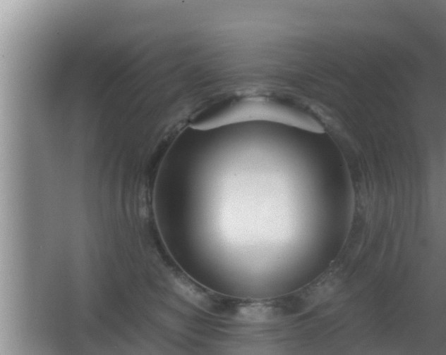 X0000062830470200601171424