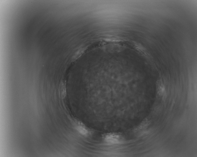 X0000062830471200601171424