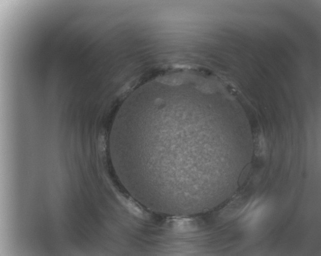 X0000062830472200601171424