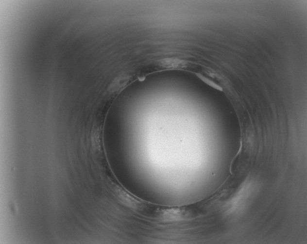 X0000062830473200601171424