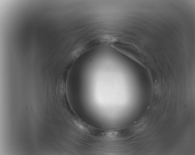 X0000062830474200601171424