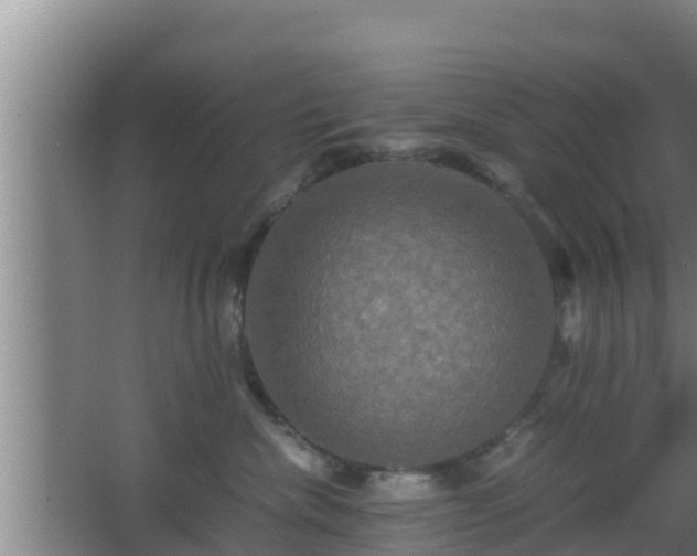 X0000062830476200601171424