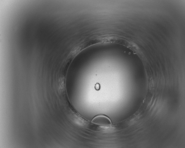 X0000062830477200601171424