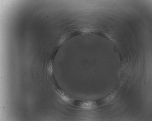 X0000062830479200601171424