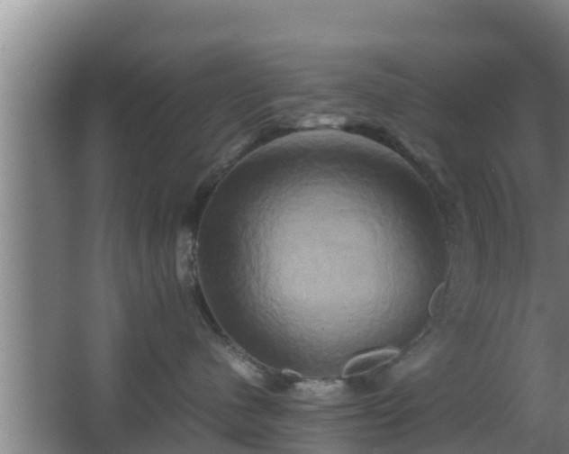 X0000062830480200601171424