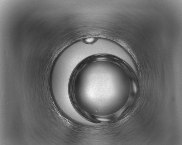 X0000062830481200601171423