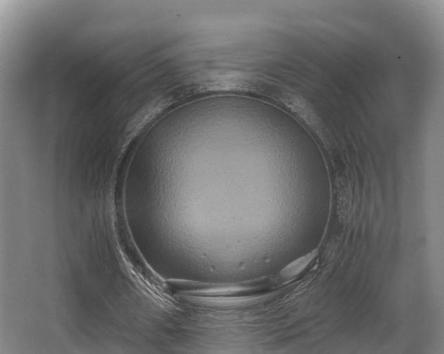 X0000062830482200601171423