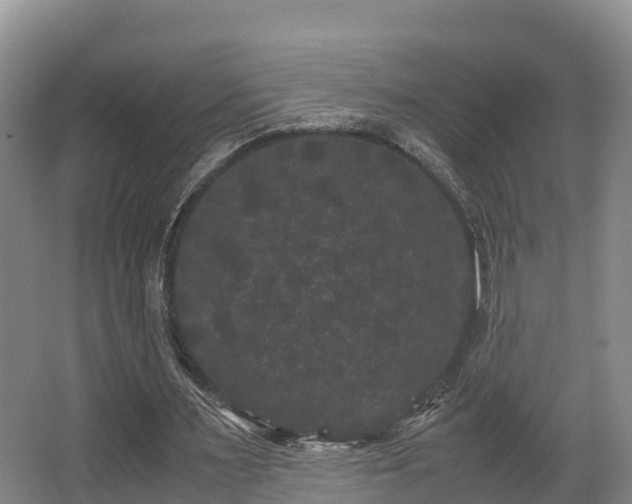 X0000062830483200601171423