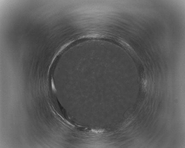 X0000062830484200601171423