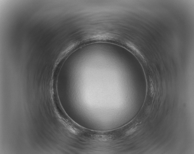 X0000062830486200601171423