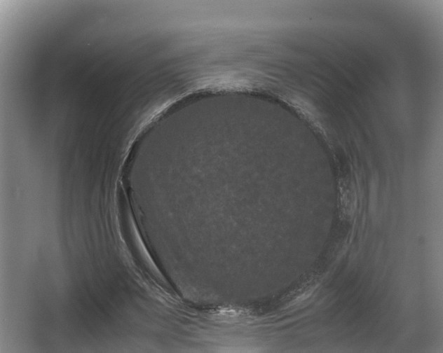 X0000062830487200601171423