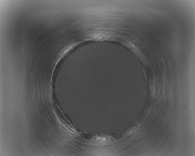 X0000062830488200601171423