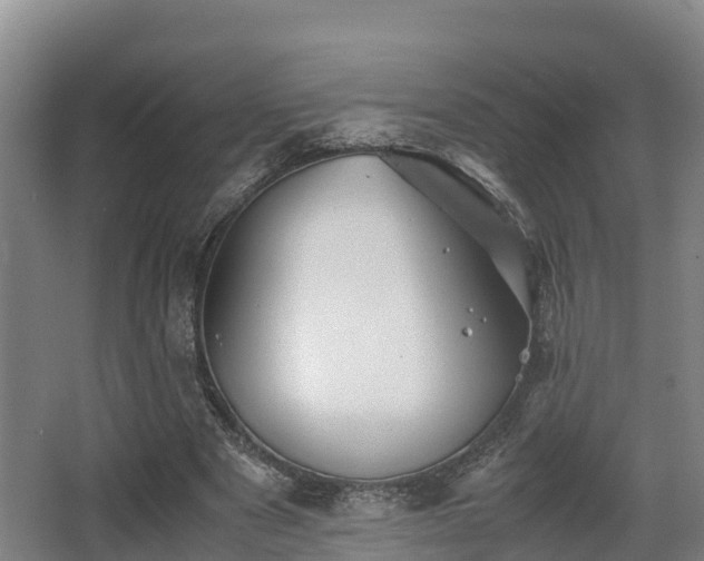 X0000062830489200601171423