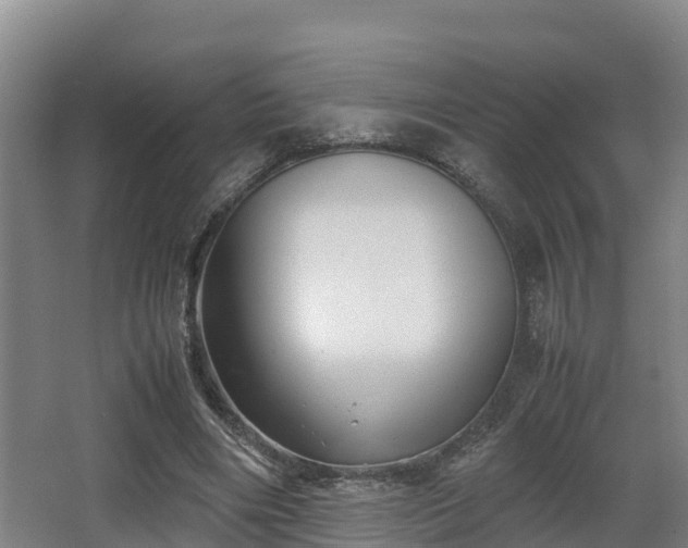 X0000062830490200601171423